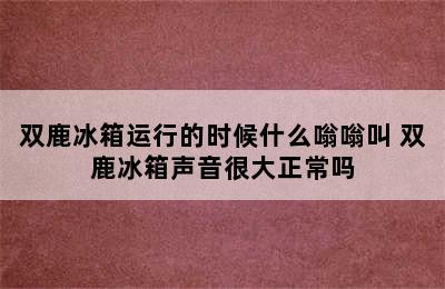 双鹿冰箱运行的时候什么嗡嗡叫 双鹿冰箱声音很大正常吗